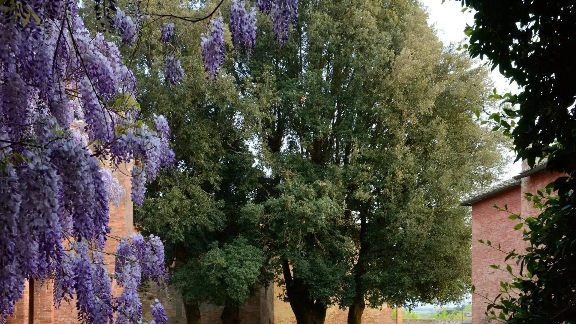 Vila Al Glicine Di Sant'Abondio Siena