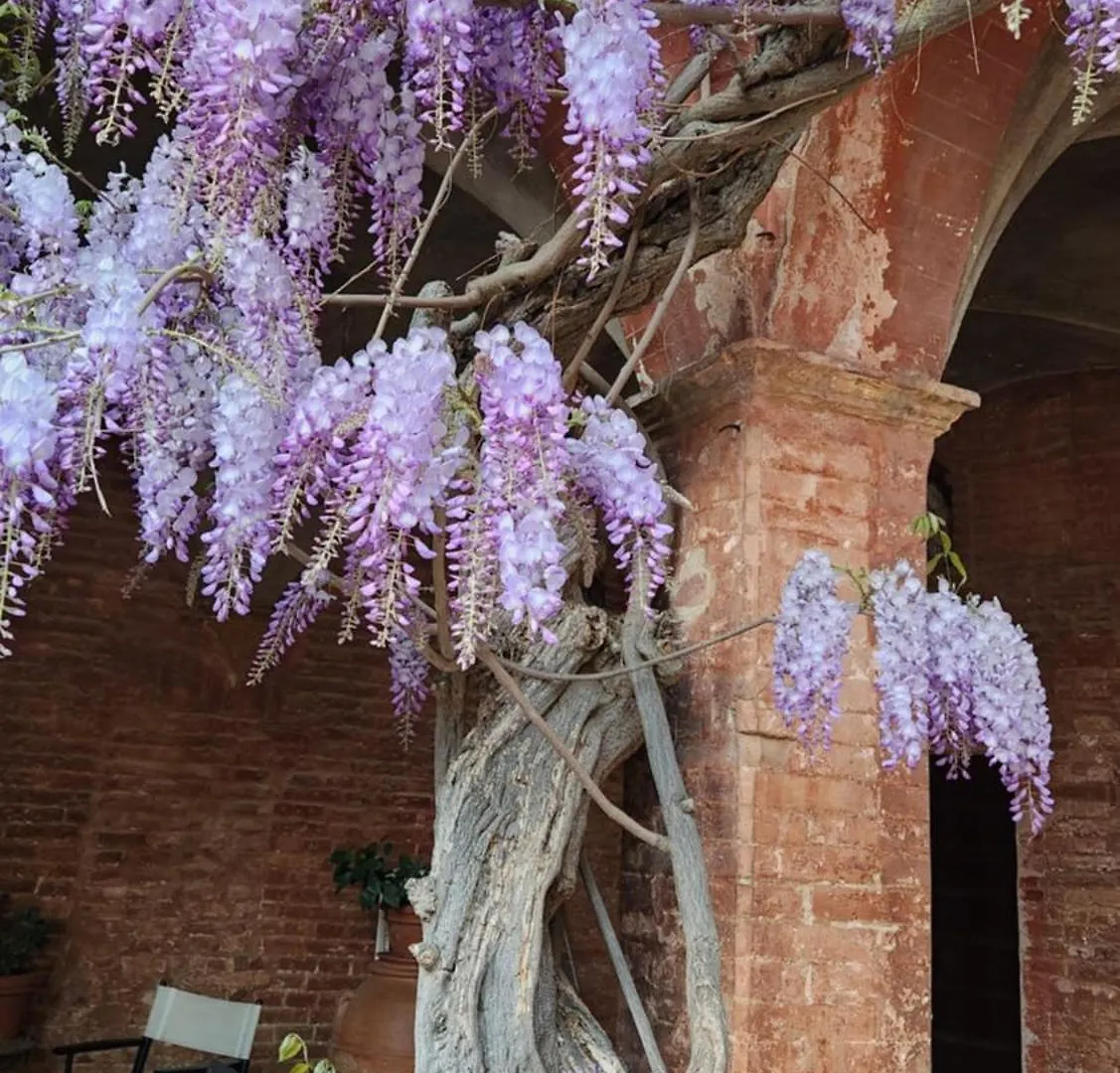 Vila Al Glicine Di Sant'Abondio Siena